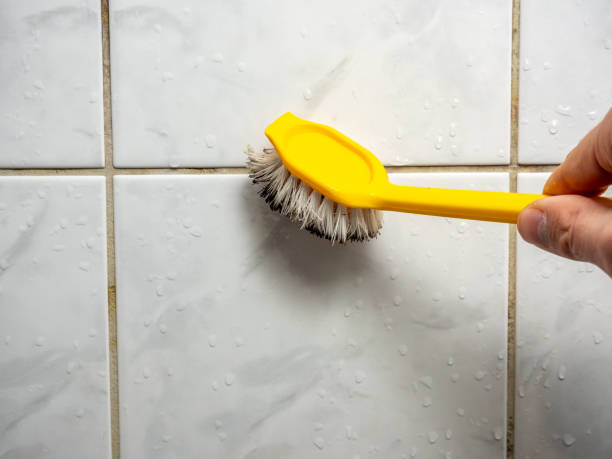 Mold Testing and Removal in La Crosse, WI