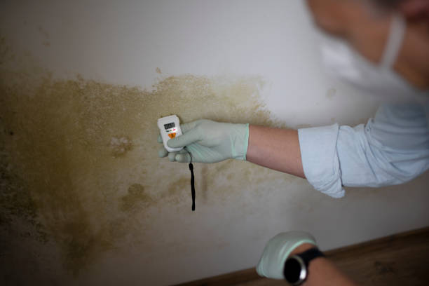 Water Damage Restoration in La Crosse, WI